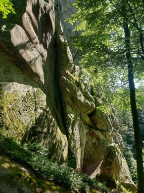 Yazın yeşil bitki örtüsü arasında dağ kayalıkları