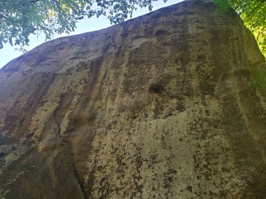 Yazın yeşil bitki örtüsü arasında dağ kayalıkları