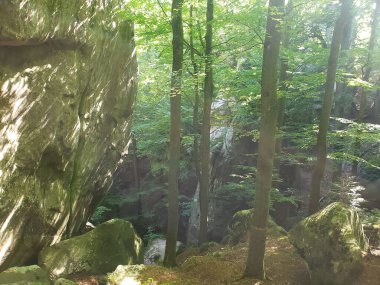 Yazın yeşil bitki örtüsü arasında dağ kayalıkları