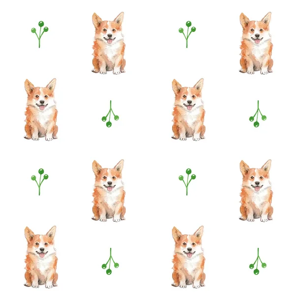 Σκύλος και άγρια φυτά Corgi. Ομαλή μοτίβο. — Φωτογραφία Αρχείου