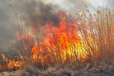 Sırasında sahasındaki büyük alevler ateş. Kaza sonucu felaket
