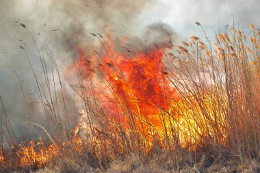 Sırasında sahasındaki büyük alevler ateş. Kaza sonucu felaket