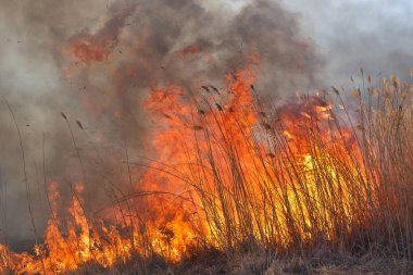 Sırasında sahasındaki büyük alevler ateş. Kaza sonucu felaket