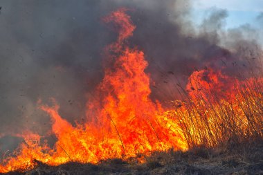 Sırasında sahasındaki büyük alevler ateş. Kaza sonucu felaket