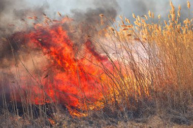 Sırasında sahasındaki büyük alevler ateş. Kaza sonucu felaket