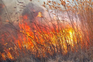 Sırasında sahasındaki büyük alevler ateş. Kaza sonucu felaket
