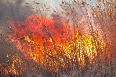 Sırasında sahasındaki büyük alevler ateş. Kaza sonucu felaket