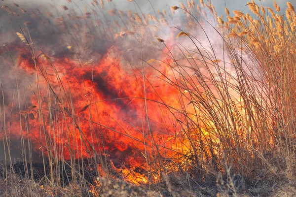 Sırasında sahasındaki büyük alevler ateş. Kaza sonucu felaket