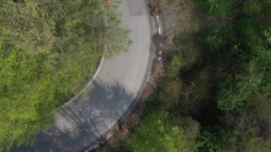 Yeşil forrests arasında bir yol boyunca sürme bisikletçilerin havadan görünümü