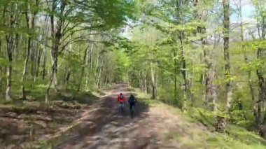 Park yeşil orman yolunda bisikletçilerin havadan üst görünümü