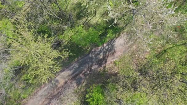 Park yeşil orman yolunda bisikletçilerin havadan üst görünümü — Stok video