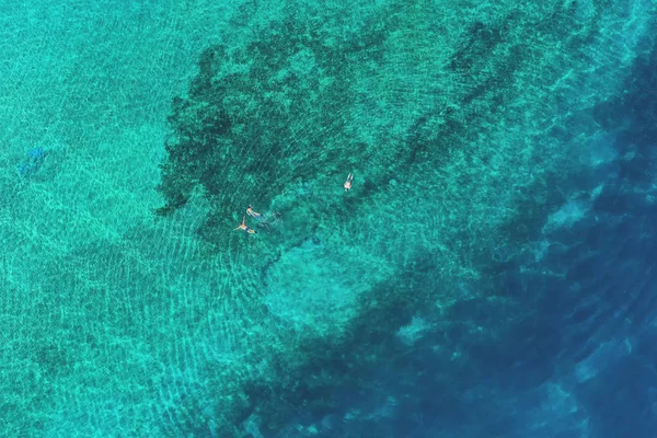 Pai e filho snorkels através de águas tropicais, turquesa, vista aérea — Fotografia de Stock