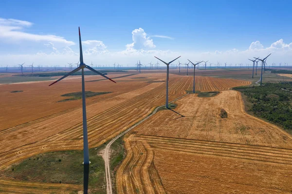 Campo eólico e turbinas eólicas fazenda no campo em um dia ensolarado — Fotografia de Stock