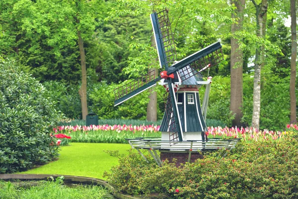 Impresionante paisaje de primavera, famoso jardín Keukenhof con coloridos tulipanes frescos, flores y molino de viento holandés en el fondo, Países Bajos, Europa —  Fotos de Stock