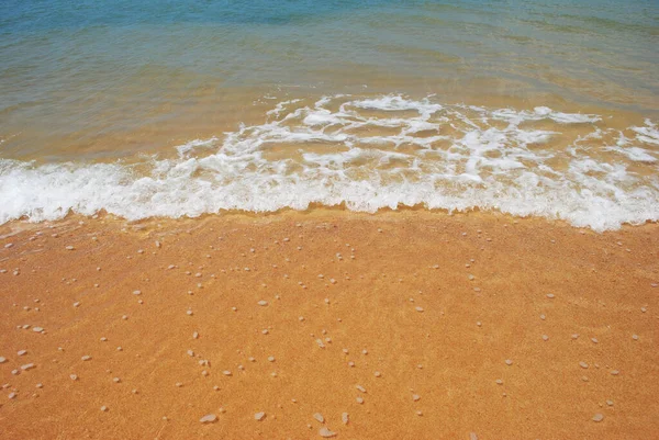 Tropik sahilde deniz sörfü