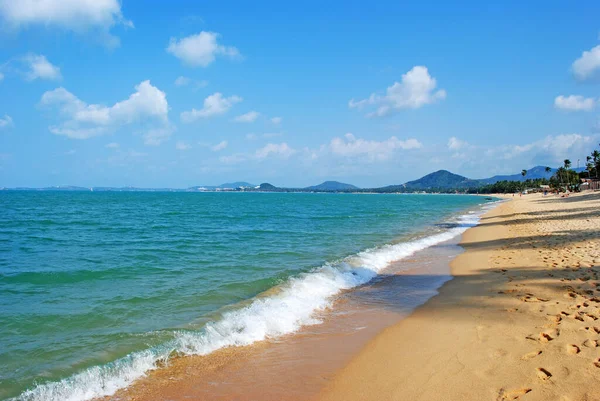 Plajdan tropik deniz manzarası