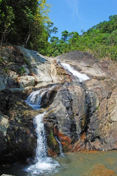 Ormanda küçük bir şelale