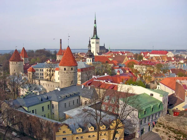 Tallinn 'in Eski Bir Kasabasının Panoraması