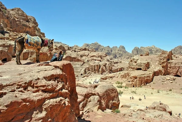Bedevi ve Eşek Petra, Ürdün 'de bir kayanın üstünde