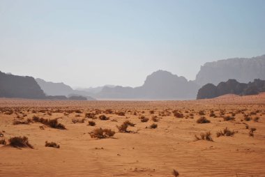 Wadi Rum Çölü 'nün panoramik manzarası. Kum, kaya ve nadir bitki örtüsü.