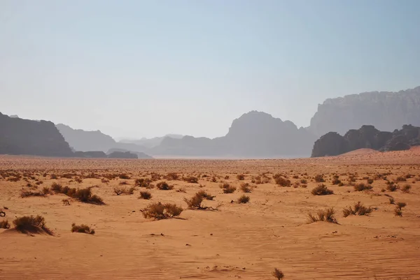 Панорамний Пейзаж Пустелі Ваді Рам Пісок Скелі Рідкісна Рослинність — стокове фото