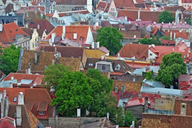 Tallinn Eski Kasabası 'ndaki evlerin çatıları