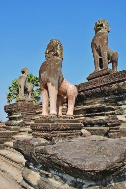 Angkor Wat tapınağının duvarlarında hayvan heykelleri