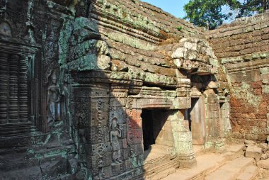 Angkor kompleksindeki eski Ta Prohm tapınağında inşa ve bas-rölyefler