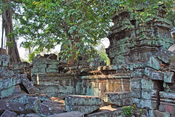 Angkor kompleksindeki antik bir tapınağın kalıntıları, Kamboçya