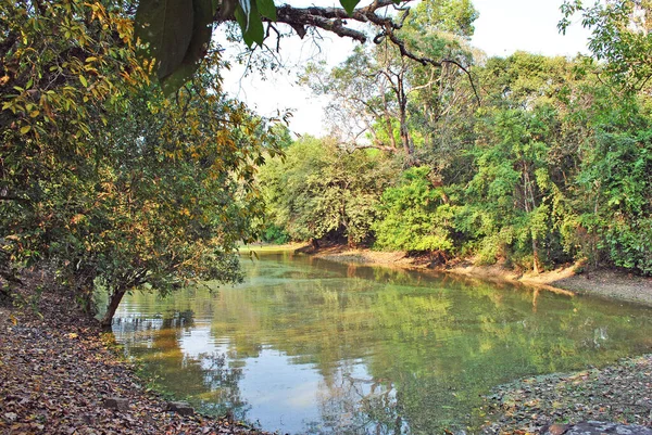 Angkor kompleksindeki Banteay Kdei tapınağının bölgesindeki gölet, Kamboçya