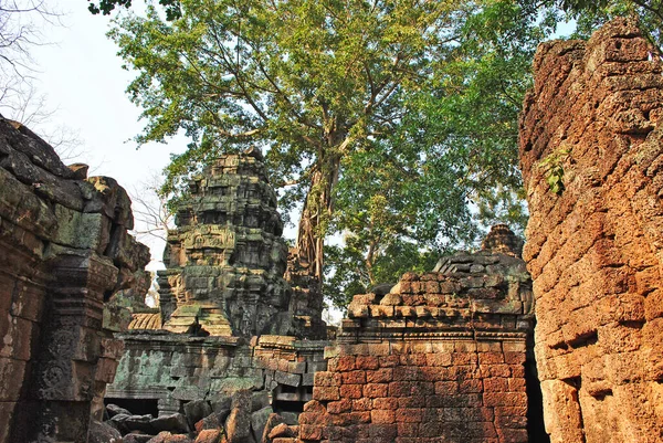 Ruines Antiques Dans Complexe Temple Angkor Cambodge — Photo