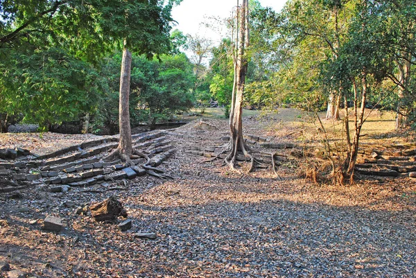 Angkor kompleksi, Kamboçya 'daki Banteay Kdei tapınağındaki yıkıntı ve ağaçlar.