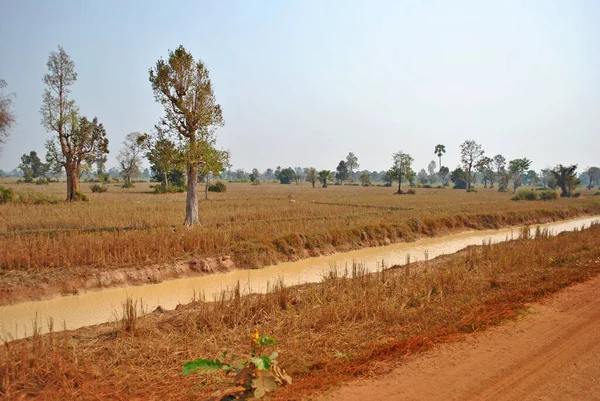 Paysage Dans Campagne Cambodgienne — Photo