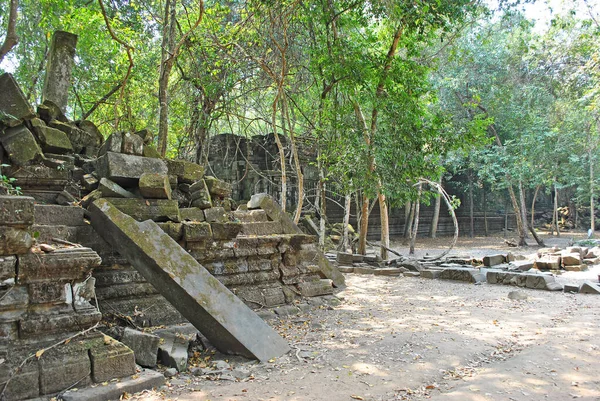 Bäume Wachsen Verlassenen Tempel Von Beng Mealea — Stockfoto