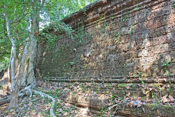 Zidul Antic Templului Preah Han Acoperit Vegetație Angkor Cambodgia — Fotografie, imagine de stoc