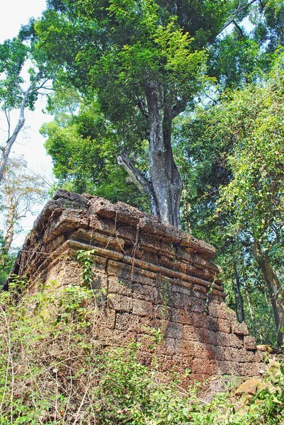 Ruinen Der Mauer Des Antiken Preah Khan Tempels Und Ein — Stockfoto