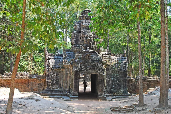 Ta Som tapınağının kalıntıları. Angkor, Kamboçya
