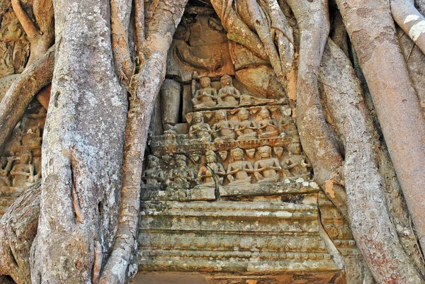 Forntida Basreliefer Sammanflätade Med Trädrötter Bland Ruinerna Som Templet Angkor — Stockfoto