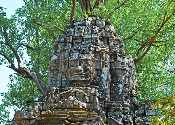 カンボジアのアンコールのタ ソム寺院の木の枝の下の仏の石の顔 — ストック写真