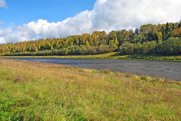 Nehir kenarındaki sonbahar çimenleri