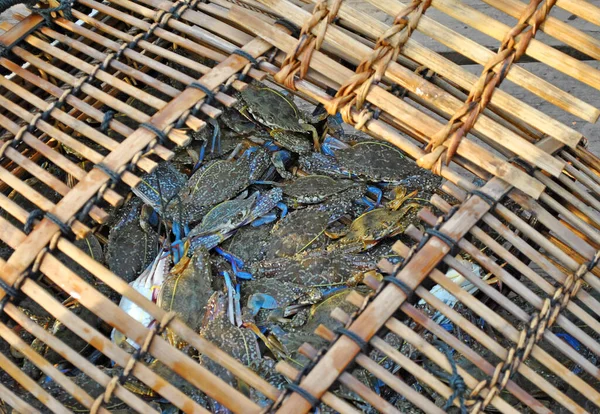 Balık pazarında yengeç dolu bir sepet.