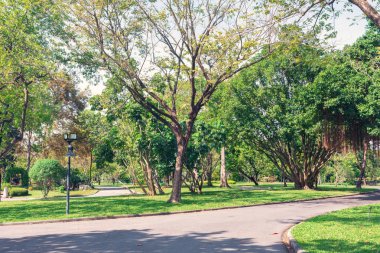 Genel central Park'ta şehir. Egzersiz ve rahatla. 