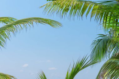 tropikal plaj ve okyanus deniz mavi gökyüzü arka plan ile