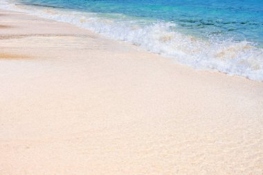 Yaz tatil tropikal plaj ve okyanus deniz arka plan üzerinde. Trav