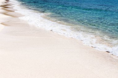 Yaz tatil tropikal plaj ve okyanus deniz arka plan üzerinde. Trav