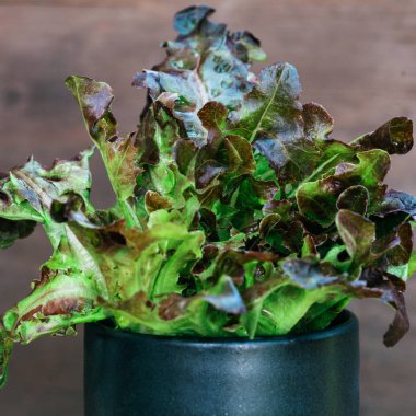 Kırmızı meşe ağacını siyah seramik kaseye, ahşap masaya koy. Oraganik