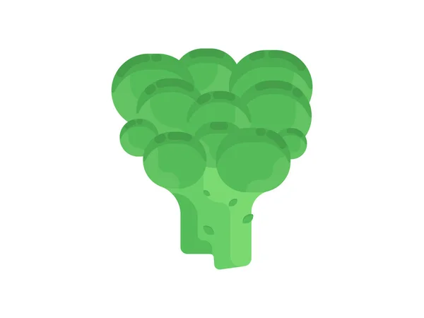 Broccoli Vlakke Afbeelding Voor Broccoli Vector Icon Geïsoleerd Witte Achtergrond — Stockvector