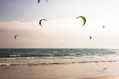 Tarifa plajı. Güney İspanya'da uçurtma sörfü plaj. Costa del Sol, Endülüs, İspanya. Fotoğraf 14 Temmuz 2019.