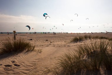 Tarifa plajı. Güney İspanya'da uçurtma sörfü plaj. Costa del Sol, Endülüs, İspanya. Fotoğraf 14 Temmuz 2019.
