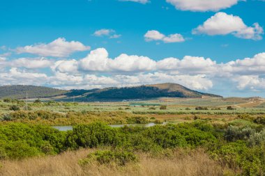 Göl manzaralı. Kuru göl Fuente De Piedra. 